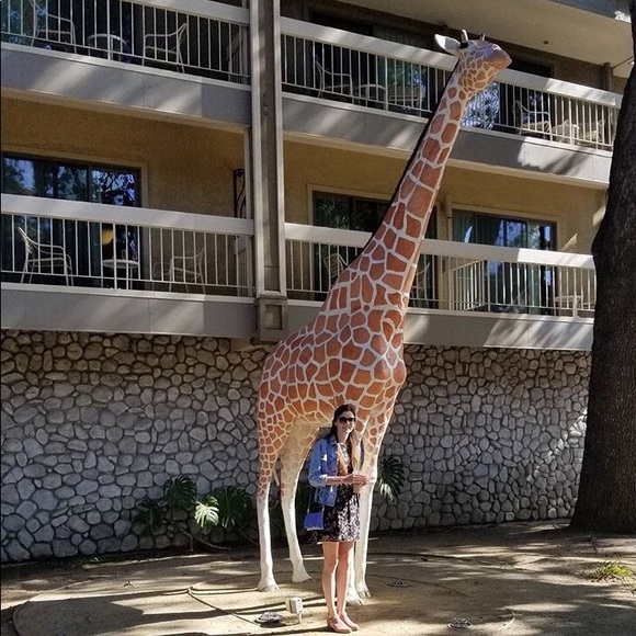 Meet your Posher ๐ - Picture 5 of 5